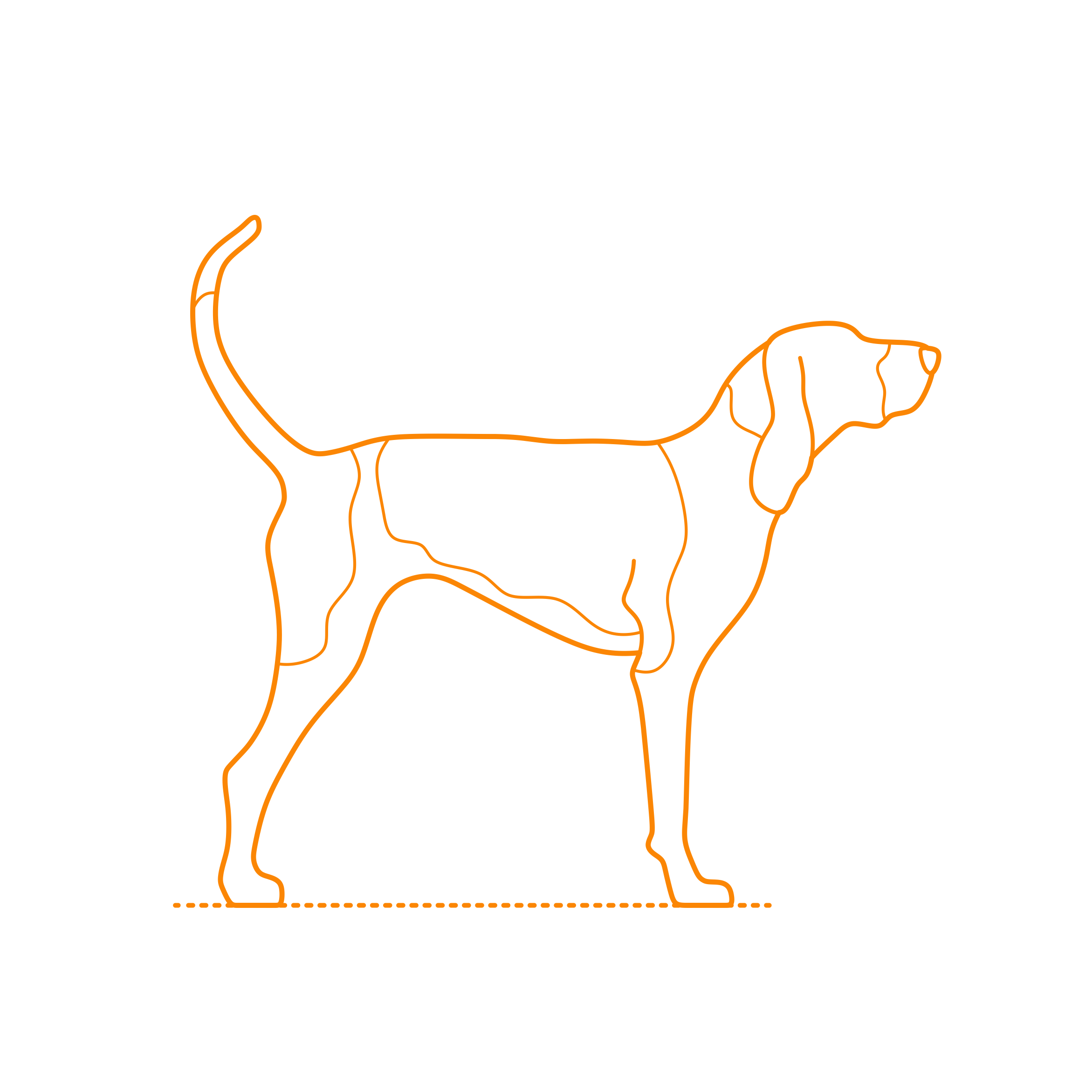 Animals Dogs Treeing Walker Coonhound Svg Line Art Free Vectors